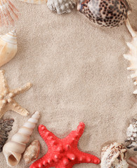 Fototapeta na wymiar Sea shells with sand