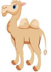 Illustration of cute funny camel