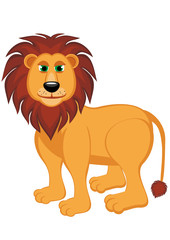 A lion isolated on a white background