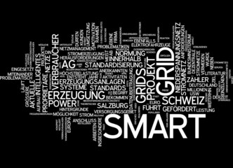 Smart Grid - Intelligentes Stromnetz