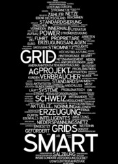 Smart Grid - Intelligentes Stromnetz