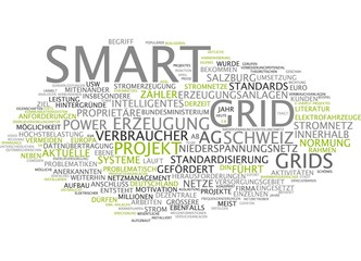 Smart Grid - Intelligentes Stromnetz