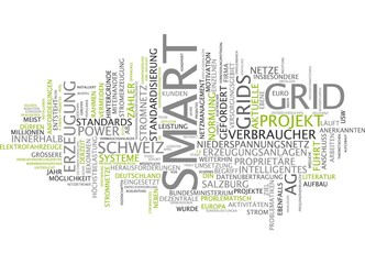 Smart Grid - Intelligentes Stromnetz