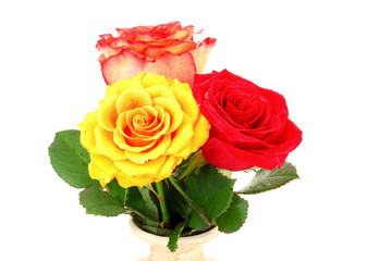 Red and yellow roses isolated on white