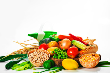 Vegetables - cabbage, tomato, cucumber, onion, lettuce and so on