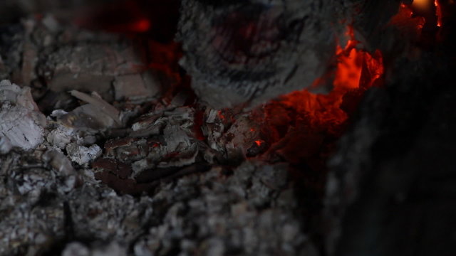 beautiful fire in the fireplace