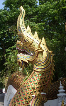 Serpent guardian at Oopdoot Temple, Chiangmai, Thailand