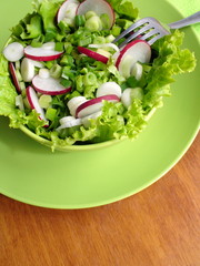 fresh salad with radishes, lettuce and onion