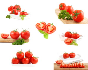 Tomaten - kollektion