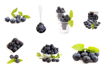 Heidelbeeren - kollektion