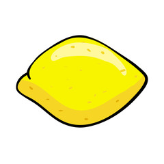 Vector sketch drawing of a whole lemon