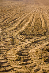 Tractor tracks