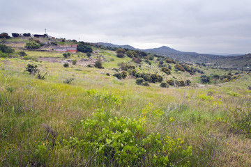 Fototapeta premium Campo en Cebreros