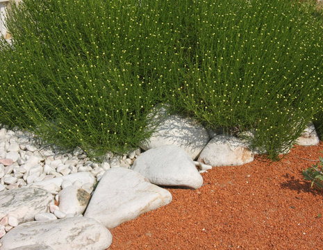 paillage de massif en briques pil&eacute;es et galets