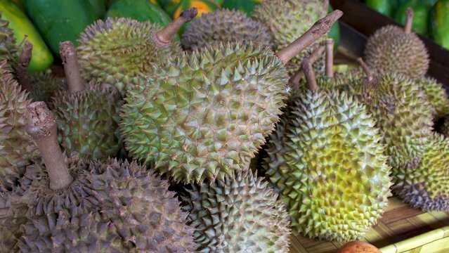 Durianfrucht