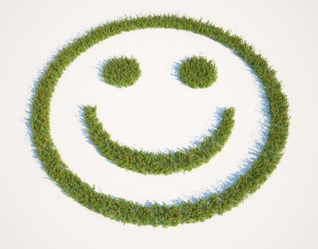 Smiley face shaped grass patch