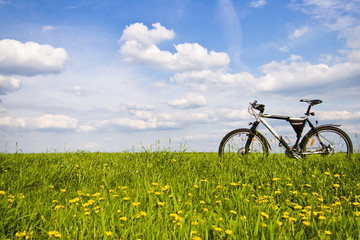 Fototapeta premium bike