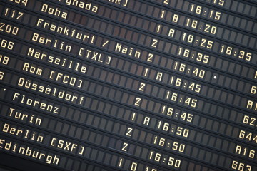 Fototapeta premium Fliegen