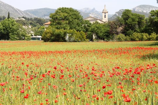Saint Pierre les Aubagne