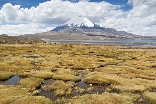 Lago Chungará y Volcán de Parinacota (Chile)