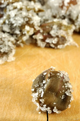 Capperi sotto sale, close up