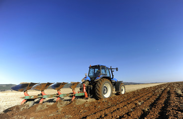 tilling the field