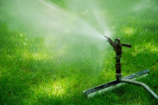 Sprinkler