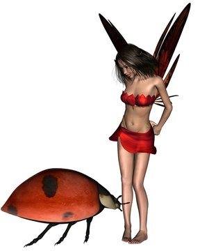 Red Ladybird Fairy - 2