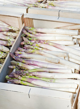 Asperges