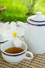 Tea set on the mat in the garden
