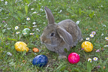 Osterhasenarbeit