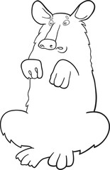 Baribal American black bear for coloring book