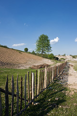 fields and gardens