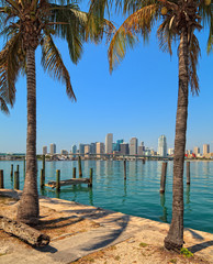 Downtown Miami Skyline - obrazy, fototapety, plakaty