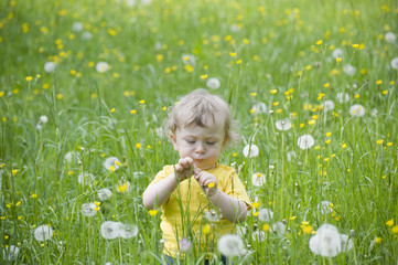 Kind mit Pusteblumen auf grüner Wiese