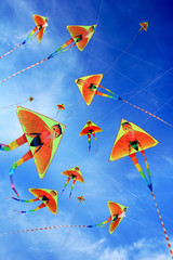 many kites on the blue sky
