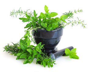 Mortar with Fresh Herbs