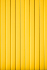 Obraz premium beautiful color blind, orange