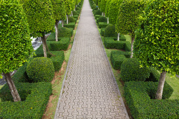 Pavement made of stone in beautiful garden