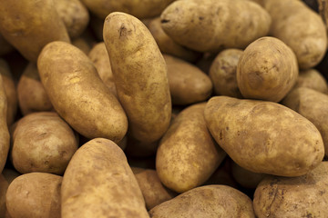 Several Brown Potatoes