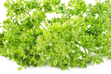 Obraz premium green parsley
