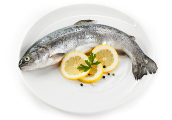 Fresh raw trout on white