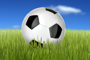 Fototapeta premium Fußball 35