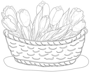 Basket with flowers, contours