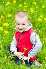 little boy in flowers field