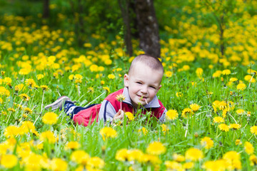 little boy in flowers field