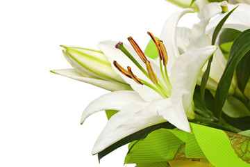 Bouquet from lilies, a flower close up