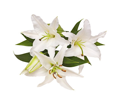 Fototapeta Bouquet from lilies, a flower
