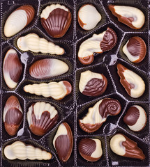 Set of sweets in the form of sea shells