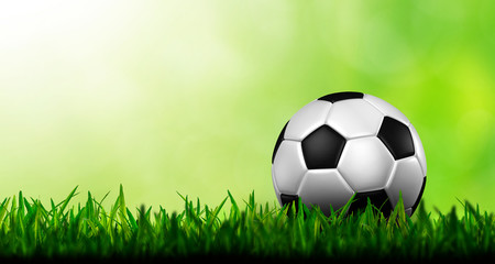 Fototapeta premium soccer football on a fresh green background